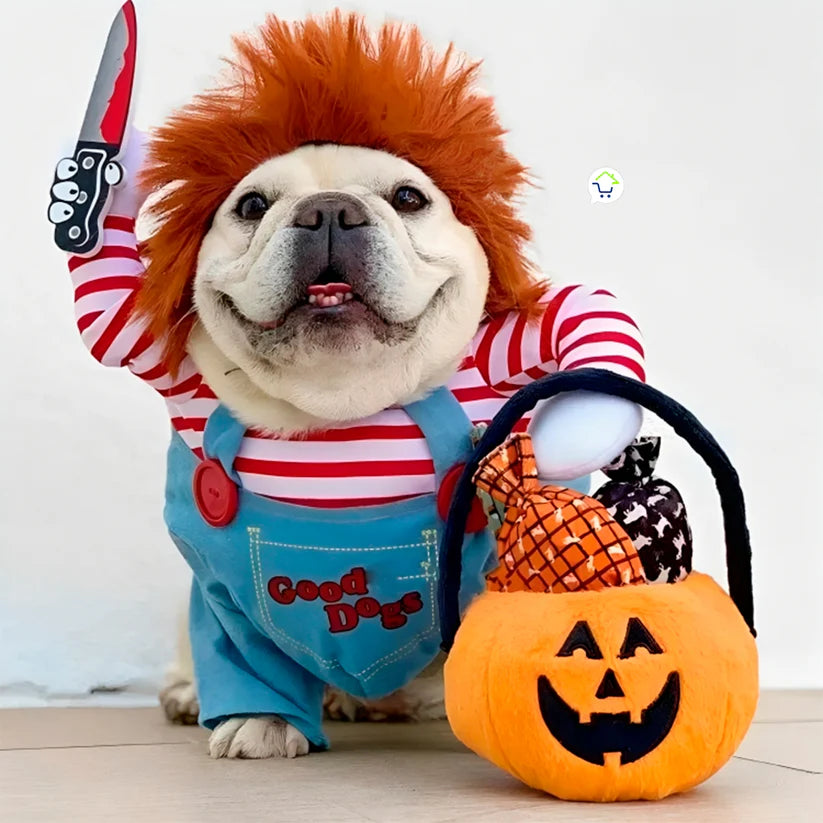 ¡Haz que tu Mascota sea el más temido y tierno de Halloween con Chuky Dog/Cat!
