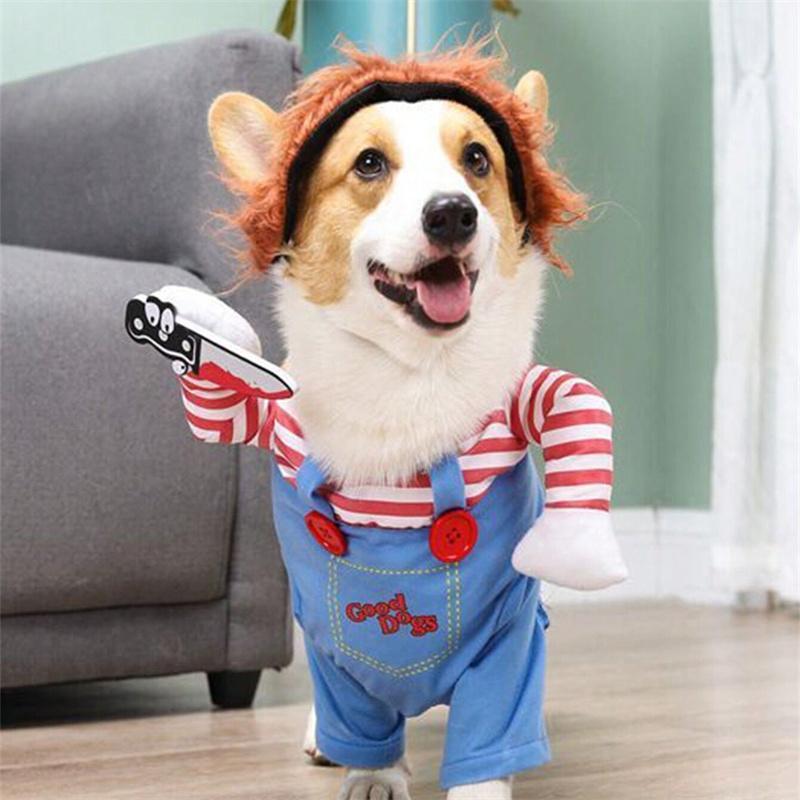 ¡Haz que tu Mascota sea el más temido y tierno de Halloween con Chuky Dog/Cat!